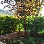 Jagoda * Grebaštica