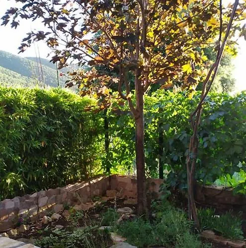 Jagoda * Grebaštica